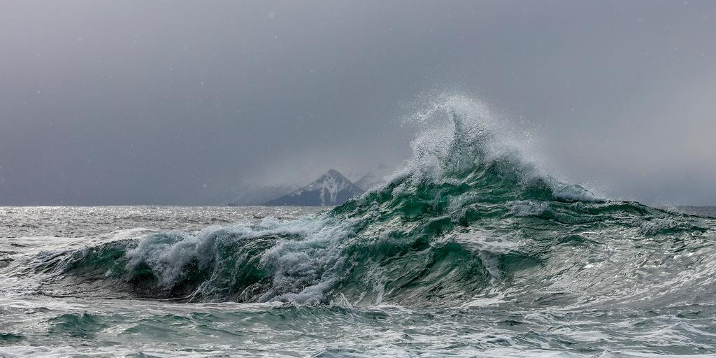 Tore Hunds Apartments Andenes Buitenkant foto